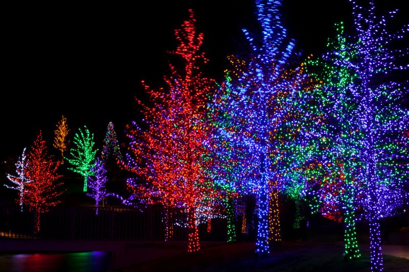Christmas Lights Hanging