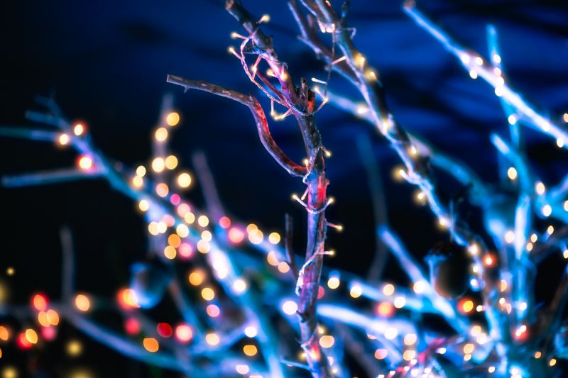 Festive Street Scene