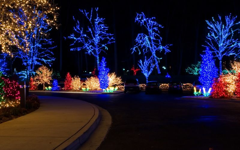 Christmas Light Displays at Night